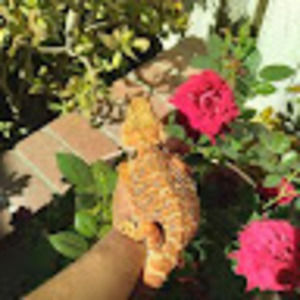 Meet your Posher, Evita